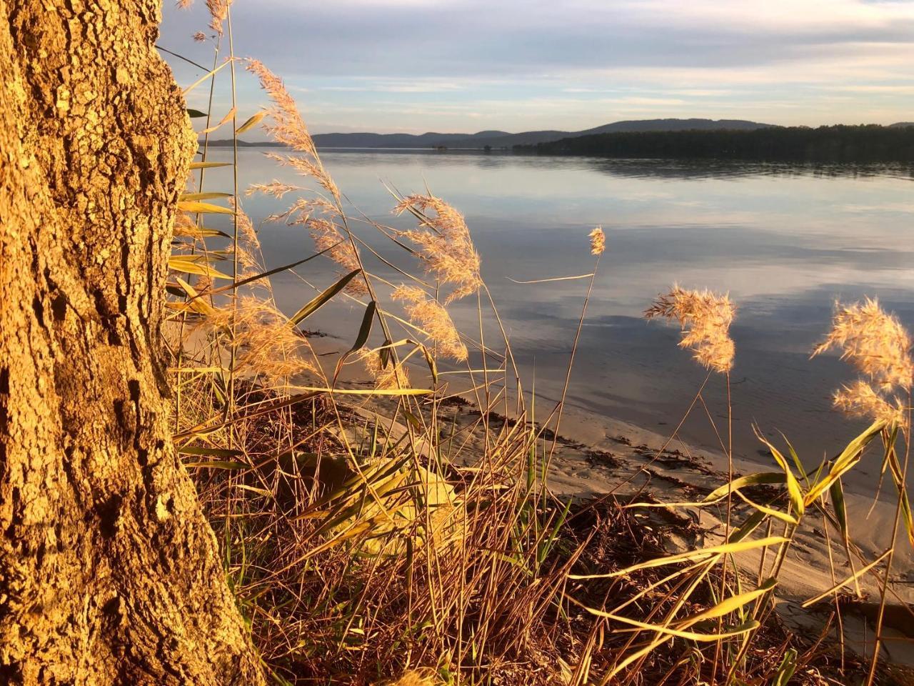 Lakeview Cottage Forster Dış mekan fotoğraf